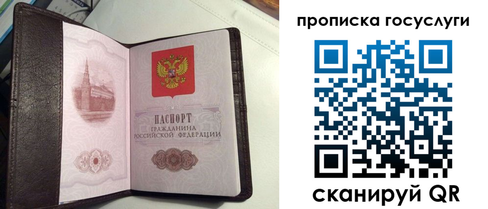 временная прописка в Сосновом Бору